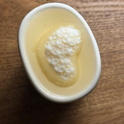 AYLA DEKO - Variedades