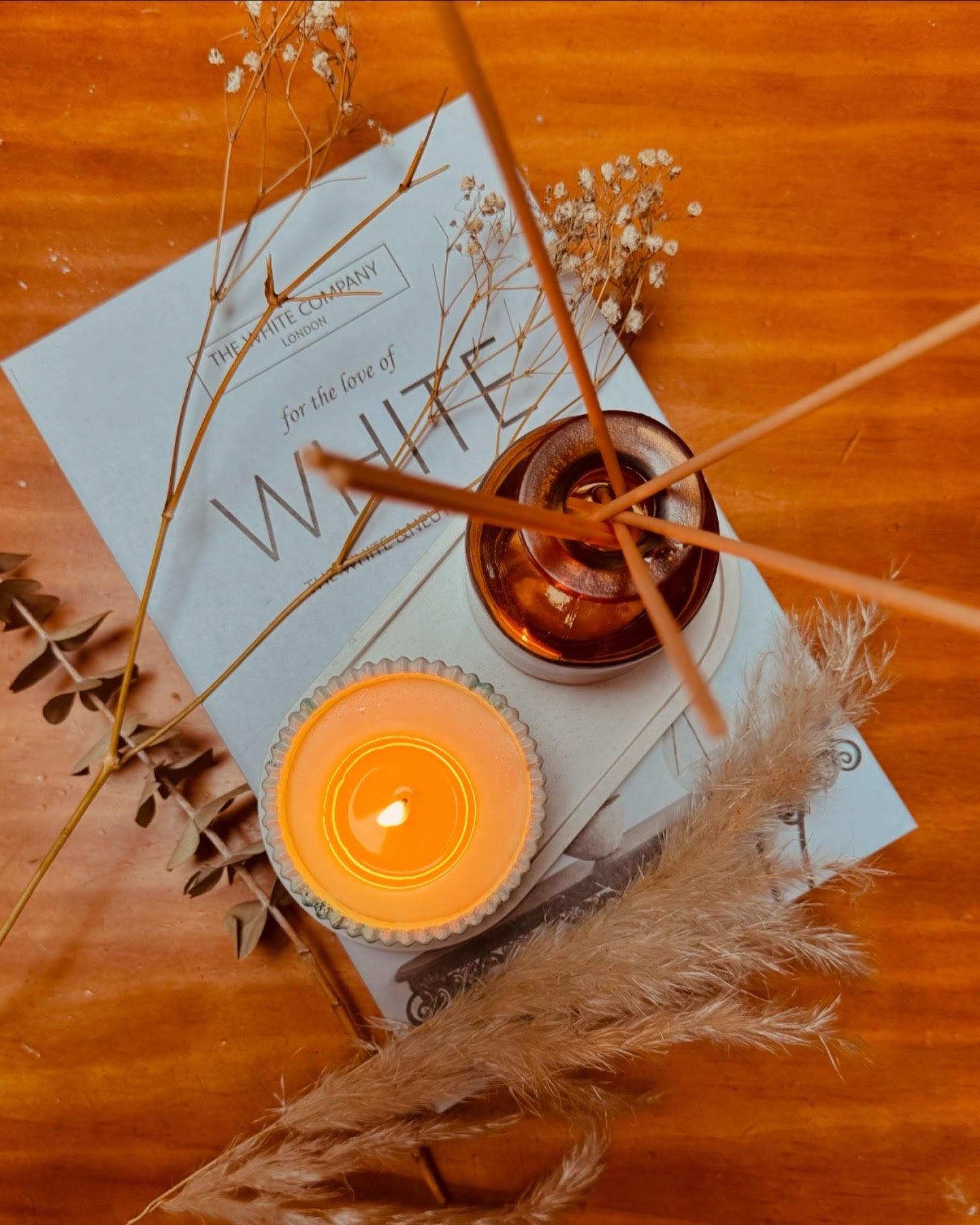 AYLA DEKO - Variedades